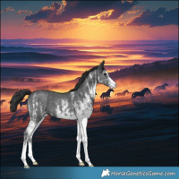 Horse Color:White Spotted Black