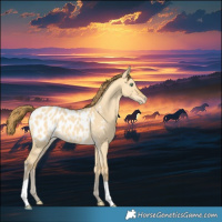 Horse Color:Amber Cream Champagne Dun Blanket 