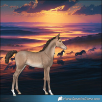 Horse Color:Amber Champagne 