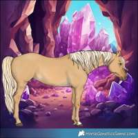 Horse Color:Palomino Dun 