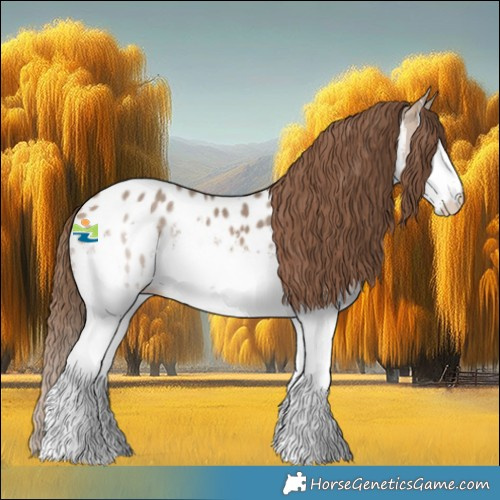 Horse Color:White Spotted Bay Dun Splash Appaloosa 