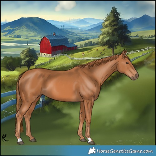 Horse Color:Chestnut 