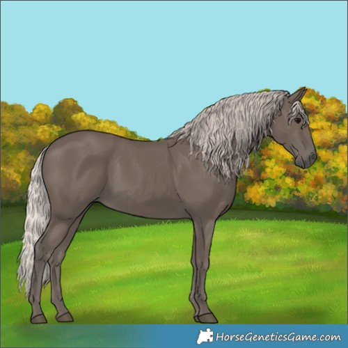 Horse Color:Silver Black 