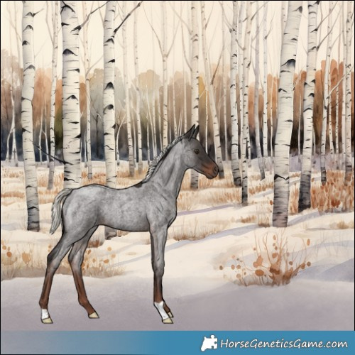 Horse Color:Liver Red Roan Mushroom 