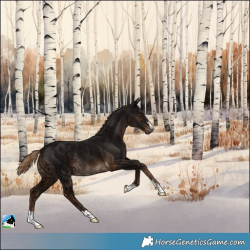 Horse Color:Liver Chestnut Ice 