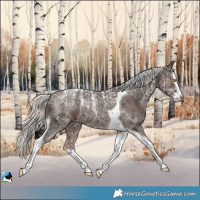 Horse Color:Powder White Liver Chestnut Ice Mushroom Splash Tobiano 
