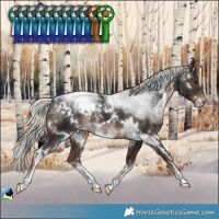 Horse Color:Powder White White Spotted Liver Chestnut Mushroom