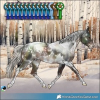 Horse Color:Powder White White Spotted Liver Chestnut Mushroom