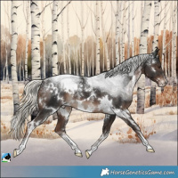 Horse Color:Powder White White Spotted Liver Chestnut Mushroom 