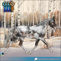 Horse Color:Powder White White Spotted Liver Chestnut Mushroom