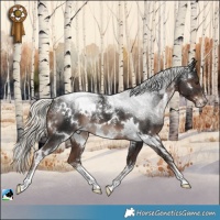 Horse Color:Powder White White Spotted Liver Chestnut Mushroom