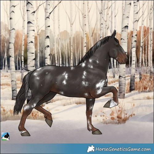 Horse Color:White Spotted Liver Chestnut 