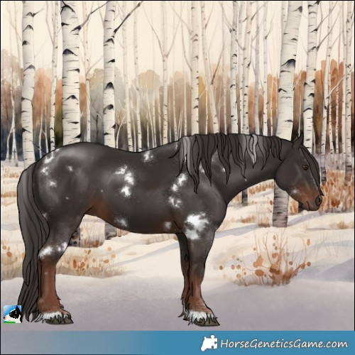 Horse Color:White Spotted Liver Chestnut 