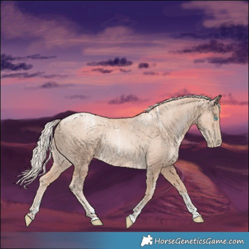 Horse Color:Powder White Gold Cream Champagne Pearl