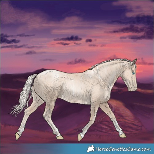 Horse Color:Powder White Gold Cream Champagne Pearl 