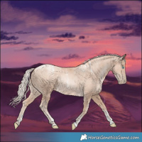 Horse Color:Powder White Gold Cream Champagne Pearl