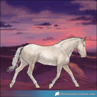 Horse Color:Powder White Gold Cream Champagne Pearl 