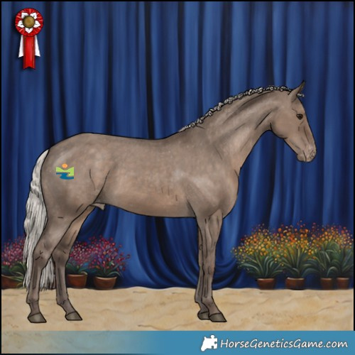 Horse Color:Silver Grullo Appaloosa Rabicano 