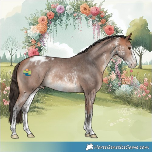 Horse Color:Bay Sabino Varnish Rabicano 