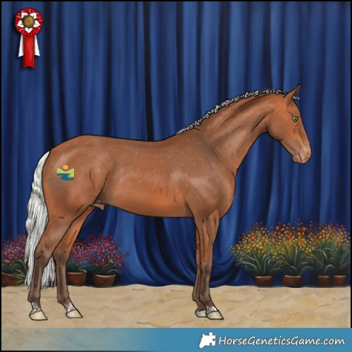 Horse Color:Silver Bay Appaloosa Rabicano