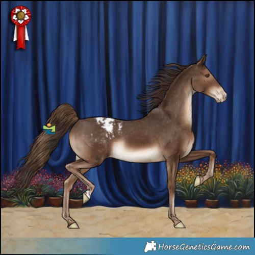 Horse Color:Liver Chestnut Appaloosa Rabicano 