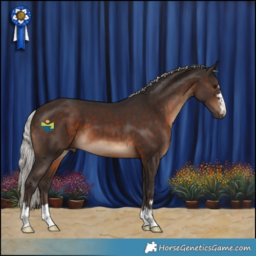 Horse Color:Silver Brown