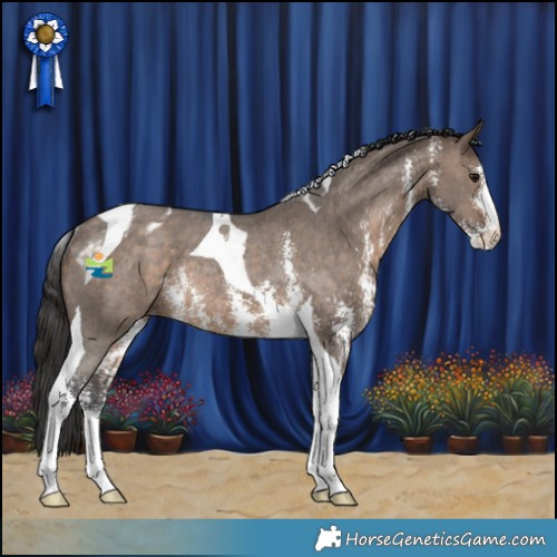 Horse Color:Brown Dun Sabino Tobiano Appaloosa Rabicano