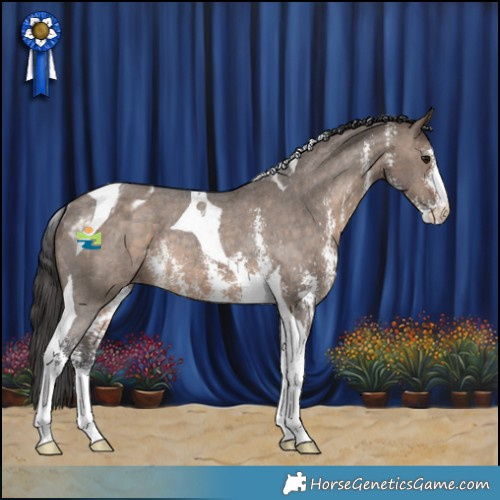 Horse Color:Brown Dun Sabino Tobiano Appaloosa Rabicano 