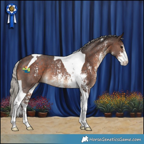 Horse Color:Silver Brown Sabino Tobiano Rabicano