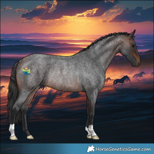 Horse Color:Brown Roan Rabicano