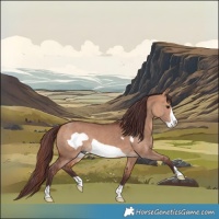 Horse Color:Chocolate Bay Dun Frame
