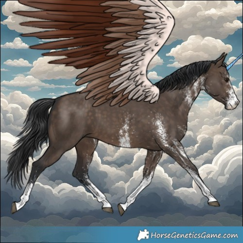 Horse Color:White Spotted Brown Dun 