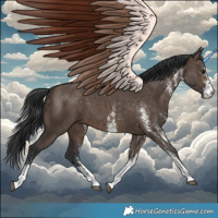 Horse Color:White Spotted Brown Dun
