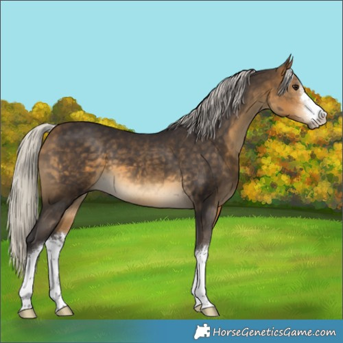 Horse Color:White Spotted Silver Buckskin 