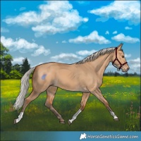 Horse Color:Silver Bay Dun Tobiano Rabicano 