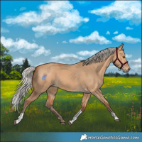 Horse Color:Silver Bay Dun Tobiano Rabicano