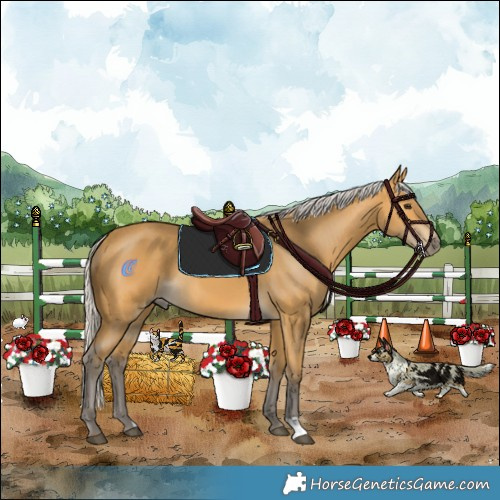 Horse Color:Silver Buckskin 