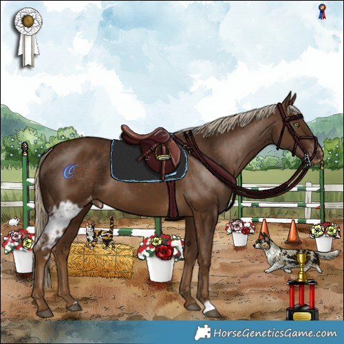 Horse Color:Chocolate Palomino Skewed LP Spotted 
