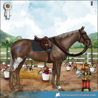 Horse Color:Chocolate Palomino Skewed LP Spotted 