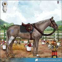 Horse Color:Chocolate Palomino Skewed LP Spotted 