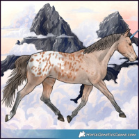 Horse Color:Bay Blanket