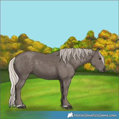 Horse Color:Silver Black 