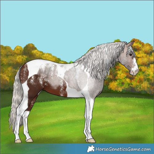 Horse Color:Powder White Silver Brown Tobiano 