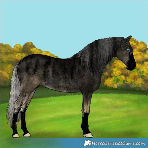 Horse Color:Powder White Void Silver Buckskin Roan Pearl 
