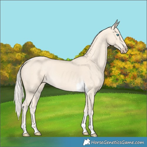 Horse Color:Cremello Tobiano 