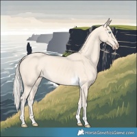 Horse Color:Cremello Tobiano