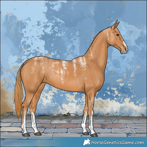 Horse Color:Powder White Chestnut 