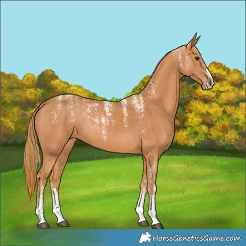 Horse Color:Powder White Chestnut 