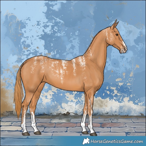 Horse Color:Powder White Chestnut