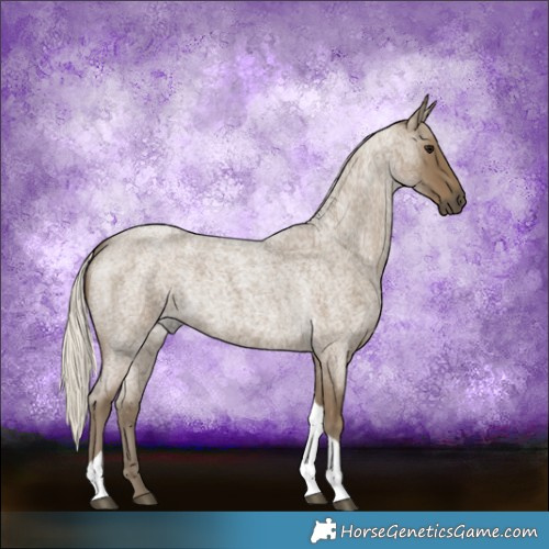 Horse Color:Silver Smoky Blue Roan Tobiano 